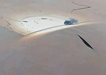 Accident de circulation à Adjohoun : quatre personnes blessées après la chute d’un véhicule sous le pont de Tovègbamè