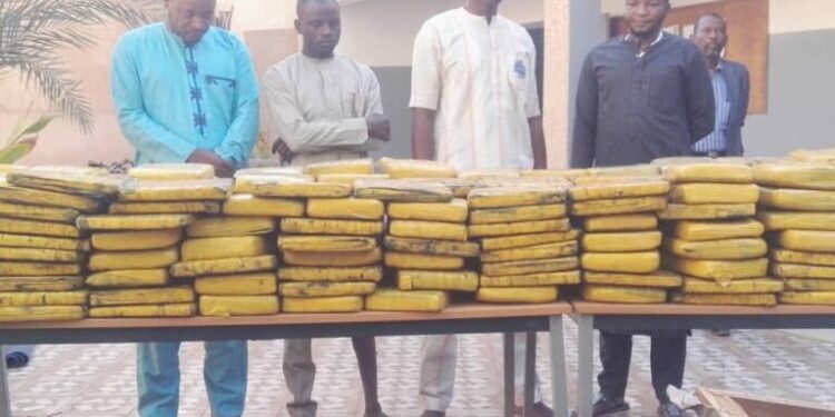 Trafic de cocaïne au Sahel : le corridor Mali-Niger-Libye actif et au cœur des réseaux criminels malgré les crises