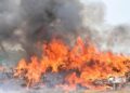 Nigeria : près de 330 tonnes de stupéfiants estimées à 301 milliards de nairas détruites à Lagos