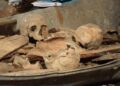 Profanation de tombe dans la commune de Lalo: Un crâne d’enfant volé pour ériger un fétiche. retrouvé , Hounnon « LOGLOADJA » et un suspect arrêtés et placés en détention