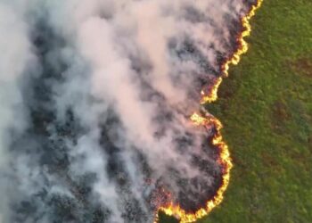 Belgique : 2 700 hectares ravagés par un vaste incendie,  plus de 250 intervenants engagés contre les flammes