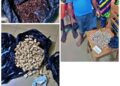 Opération anti-stupéfiants à Abomey-Calavi: 470 grammes de chanvre indien saisis à Ouèdo, quatre individus interpellés