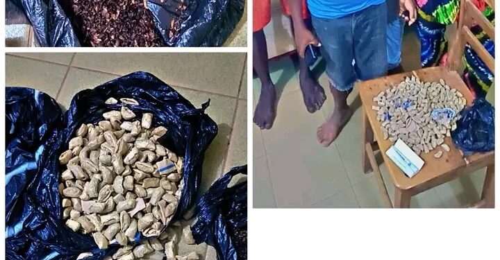 Opération anti-stupéfiants à Abomey-Calavi: 470 grammes de chanvre indien saisis à Ouèdo, quatre individus interpellés