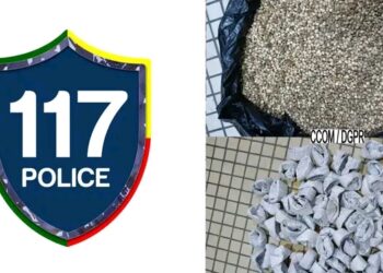 Trafic présumé de chanvre indien à Cotonou : deux individus interpellés avec plus de 950 g à Vodjè Gbadji