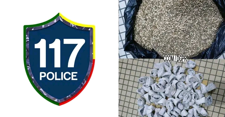 Trafic présumé de chanvre indien à Cotonou : deux individus interpellés avec plus de 950 g à Vodjè Gbadji