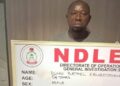 Nigeria : un trafiquant de cocaïne se faisant passer pour un vendeur de thé arrêté