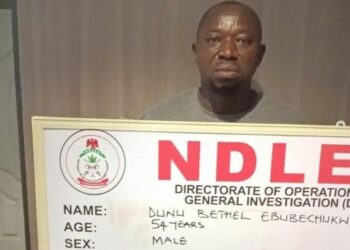 Nigeria : un trafiquant de cocaïne se faisant passer pour un vendeur de thé arrêté
