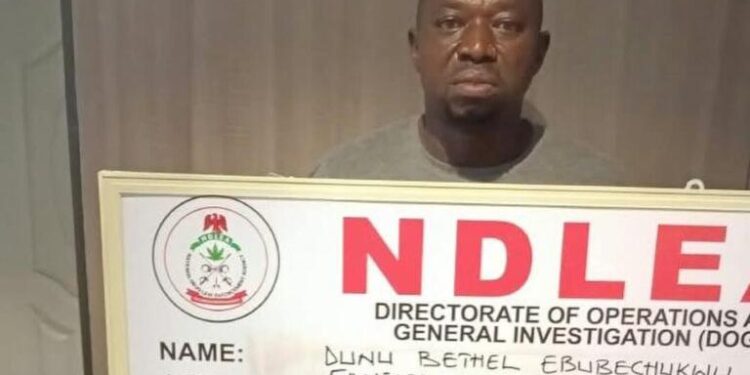 Nigeria : un trafiquant de cocaïne se faisant passer pour un vendeur de thé arrêté