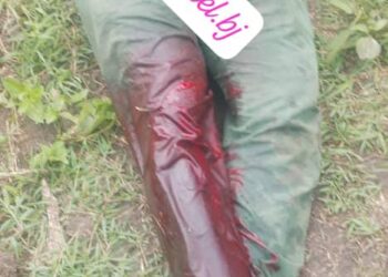 Tensions agriculteurs-éleveurs dans le Zou: Un agriculteur blessé par un berger à Zogbodomey