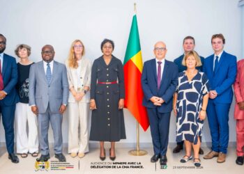 Formation professionnelle et artisanat au Bénin : la ministre Awaou Baco renforce le partenariat avec la CMA France autour des avancées et des prochaines étapes du projet FEF+*