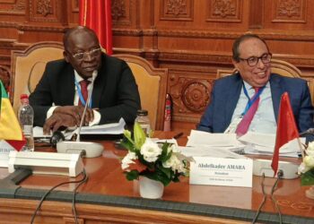 Assemblée générale de l’Union des Conseils Economiques et Sociaux à Bucarest : Bio Tchané présente l’expérience du Bénin et plaide pour un dialogue au service de la paix