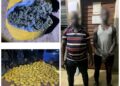 Lutte contre le trafic de drogue dans les Collines: Plus de 1 000 boules de chanvre indien dissimulés dans des sacs de jute saisies à Bantè