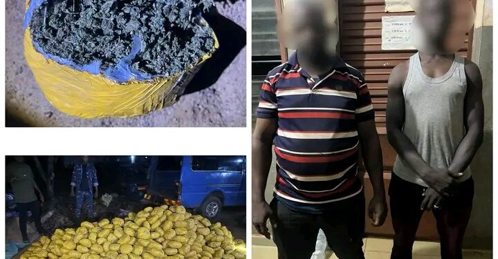 Lutte contre le trafic de drogue dans les Collines: Plus de 1 000 boules de chanvre indien dissimulés dans des sacs de jute saisies à Bantè