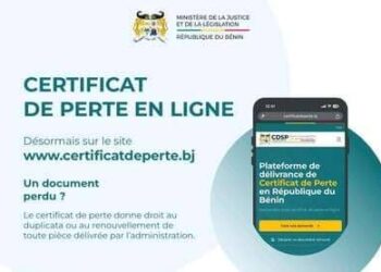Demande du certificat de perte en ligne au Bénin : Le service accessible depuis l’étranger, un soulagement pour la diaspora
