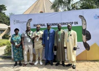 Nigéria : 43 000 morsures de serpent et 2 500 décès enregistrés chaque année