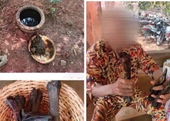 Découverte macabre à Tori-Bossito : des ossements humains retrouvés au domicile d’un guérisseur, il est placé en détention
