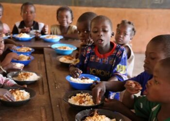 Lutte contre la malnutrition au Bénin: Une usine de suppléments nutritionnels de 9 000 tonnes par an annoncée