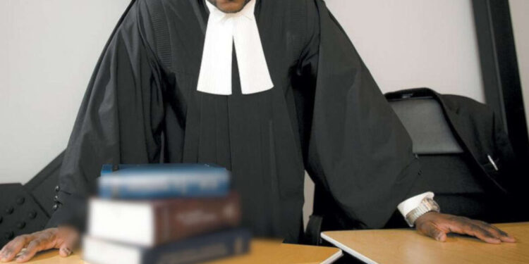 Professions judiciaires au Bénin : Notaires, huissiers, avocats : un examen avant fin décembre 2026